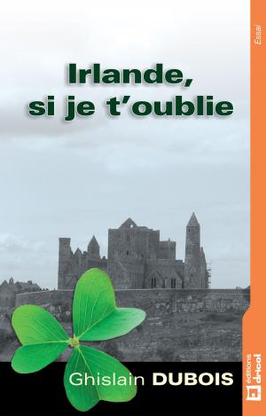 Cover of the book Irlande, si je t'oublie by Pascal Riolo