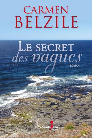 Cover of the book Le secret des vagues by Luc Desilets