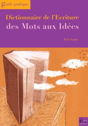 Cover of the book Dictionnaire de l'écriture by Laurent Auduc, Mousse Boulanger