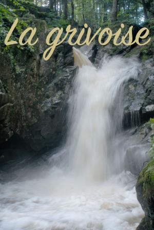 bigCover of the book La grivoise by 