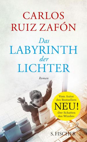 Cover of the book Das Labyrinth der Lichter by Kathrin Röggla