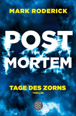 Cover of the book Post Mortem - Tage des Zorns by Thomas Mann