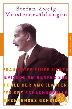Cover of the book Meistererzählungen by Robert Gernhardt
