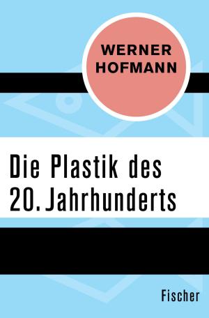 Cover of Die Plastik des 20. Jahrhunderts