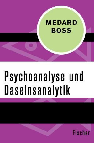 Book cover of Psychoanalyse und Daseinsanalytik