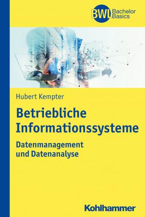 Cover of the book Betriebliche Informationssysteme by Wolfgang Burr, Michael Stephan