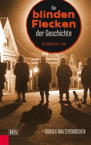 Cover of the book Die blinden Flecken der Geschichte by Christian Pinter