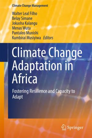 Cover of the book Climate Change Adaptation in Africa by Yaniv Altshuler, Alex Pentland, Alfred M. Bruckstein