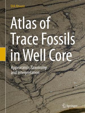Cover of the book Atlas of Trace Fossils in Well Core by Steven L. Arxer, Maria del Puy Ciriza, Marco Shappeck