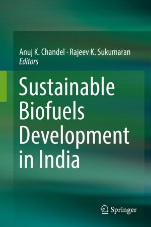 Cover of the book Sustainable Biofuels Development in India by Béla Paláncz, Joseph Awange