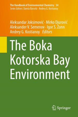 Cover of the book The Boka Kotorska Bay Environment by 