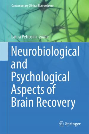 Cover of the book Neurobiological and Psychological Aspects of Brain Recovery by 