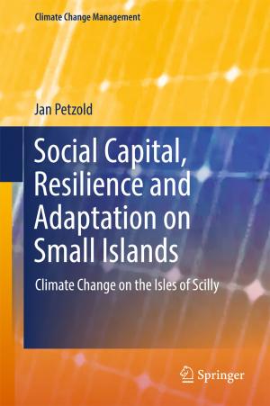 Cover of the book Social Capital, Resilience and Adaptation on Small Islands by Brian Steele, John Chandler, Swarna Reddy