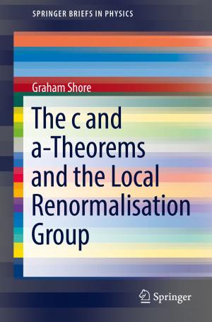 Cover of the book The c and a-Theorems and the Local Renormalisation Group by Şerefnur Öztürk
