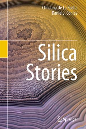 Cover of the book Silica Stories by Gonzalo Villanueva