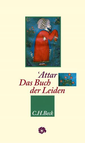 Cover of the book Das Buch der Leiden by Matías Martínez, Michael Scheffel
