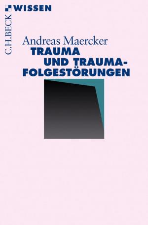 Cover of the book Trauma und Traumafolgestörungen by Olaf B. Rader