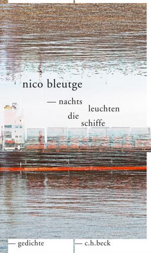 Cover of the book nachts leuchten die schiffe by Johann Wolfgang Goethe