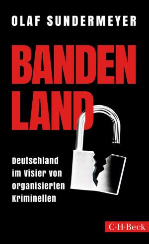 Cover of the book Bandenland by Christoph Türcke