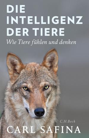 Cover of the book Die Intelligenz der Tiere by Christoph Türcke