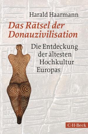 Cover of the book Das Rätsel der Donauzivilisation by Andreas Kilcher, Alexander Kosenina, Steffen Siegel, Franz Reitinger, Andreas Herz, Ulrich Raulff