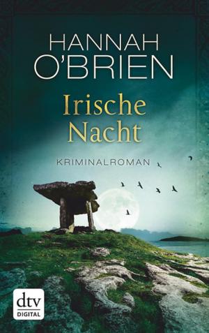Cover of the book Irische Nacht by Khalil Gibran