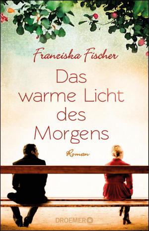 Book cover of Das warme Licht des Morgens