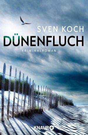 Cover of the book Dünenfluch by Julia Heyne