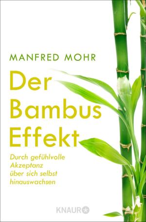 Book cover of Der Bambus-Effekt