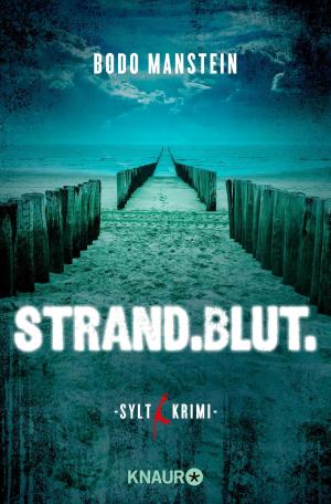 Cover of the book Strand.Blut. by Thomas Anderson