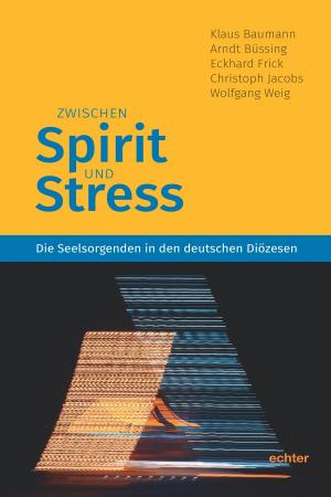 Book cover of Zwischen Spirit und Stress