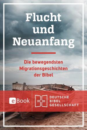 Book cover of Flucht und Neuanfang