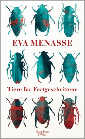 Cover of the book Tiere für Fortgeschrittene by Peter Härtling