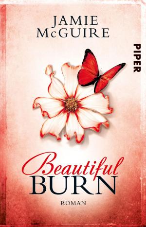 Book cover of Beautiful Burn