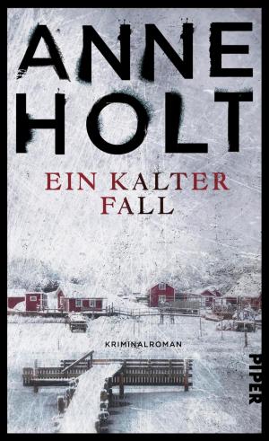 Cover of the book Ein kalter Fall by Andreas Brandhorst