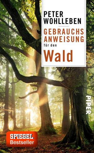 Cover of the book Gebrauchsanweisung für den Wald by Carmen Rohrbach