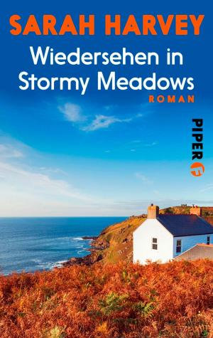 Book cover of Wiedersehen in Stormy Meadows