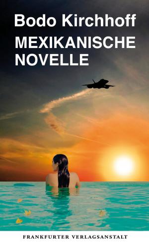 Cover of Mexikanische Novelle