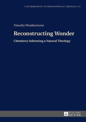 Cover of the book Reconstructing Wonder by Kurt Otto Plischke