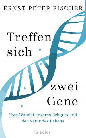 Cover of the book Treffen sich zwei Gene by Christian Meier