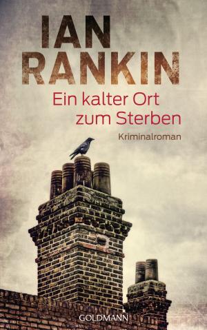 Book cover of Ein kalter Ort zum Sterben