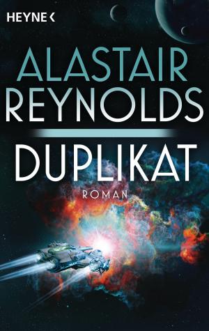 Cover of the book Duplikat by Andrea Wellnitz
