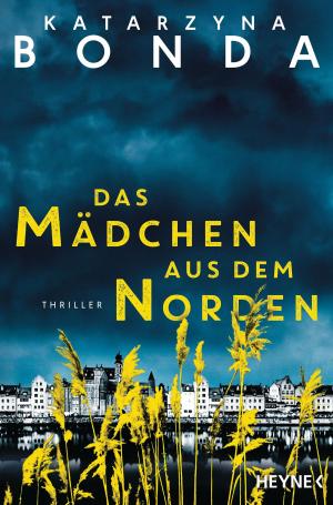 Cover of the book Das Mädchen aus dem Norden by Sean Costello
