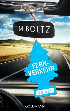 Cover of the book Fernverkehr by Barbara Simonsohn