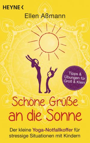 Cover of the book Schöne Grüße an die Sonne by John Scalzi