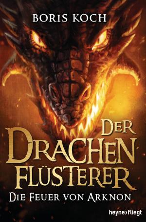 Cover of the book Der Drachenflüsterer - Die Feuer von Arknon by Cixin Liu, Hao Jingfang, Qiufan Chen