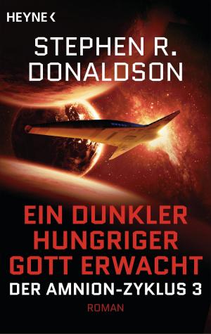 Cover of the book Ein dunkler hungriger Gott erwacht by Samantha Ricks