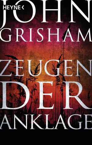 Cover of the book Zeugen der Anklage by Erika Johansen