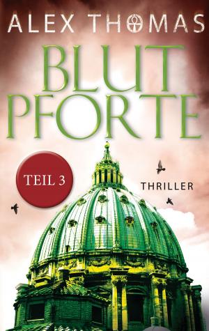 Book cover of Blutpforte 3