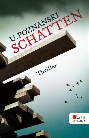 Cover of the book Schatten by Norman Hall